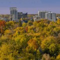 The Power of Community: Exploring Mental Health and Wellness Groups in Boise, ID