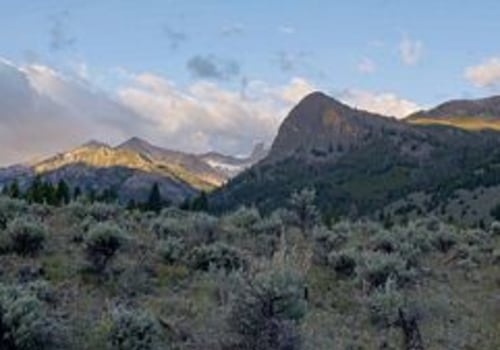 The Power of Community: Exploring Environmental Groups in Boise, ID